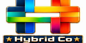 Hybrid Company