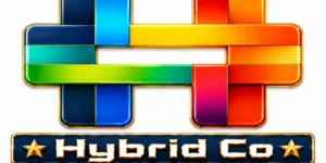 Hybrid Company