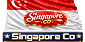 Singapore Company
