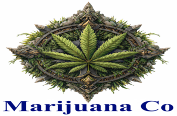 Medical Marijuana Company