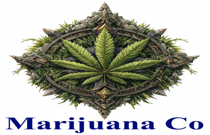 Medical Marijuana