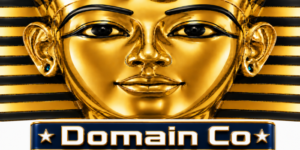 About Domain Co
