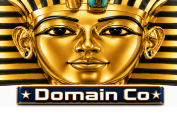 About Domain Co
