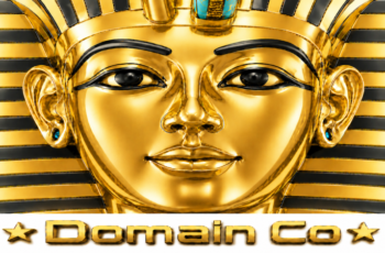 About Domain Co