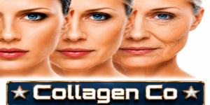Collagen Company