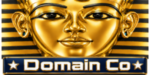 Domain Co