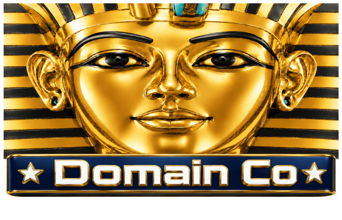 Domain Co
